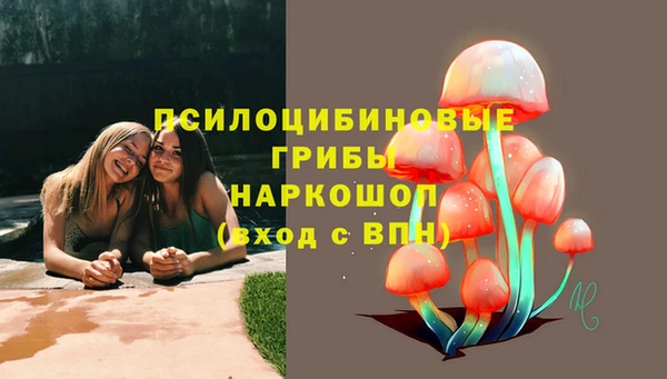 дурь Переславль-Залесский
