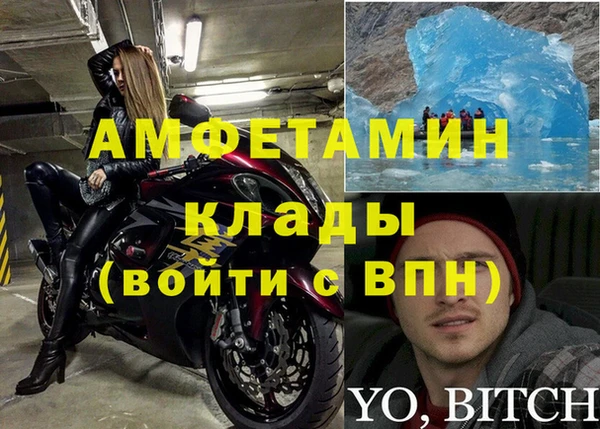 apvp Алексин