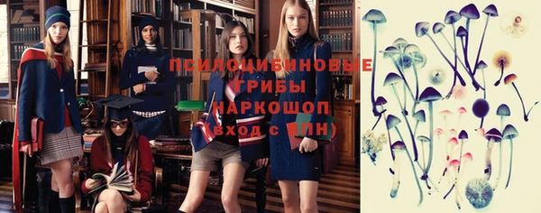 гидропоника Алзамай