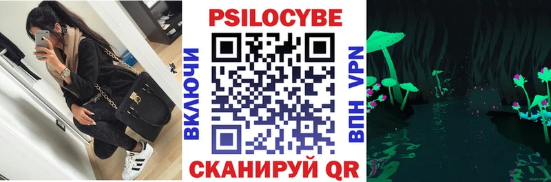Псилоцибиновые грибы Psilocybe гидра ссылка Исилькуль